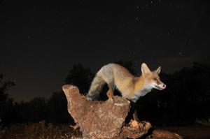 Fotografía de alta velocidad